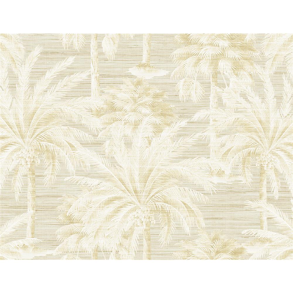 Kenneth James by Brewster PS40003 Palm Springs Dream Of Palm Trees Beige Texture Wallpaper