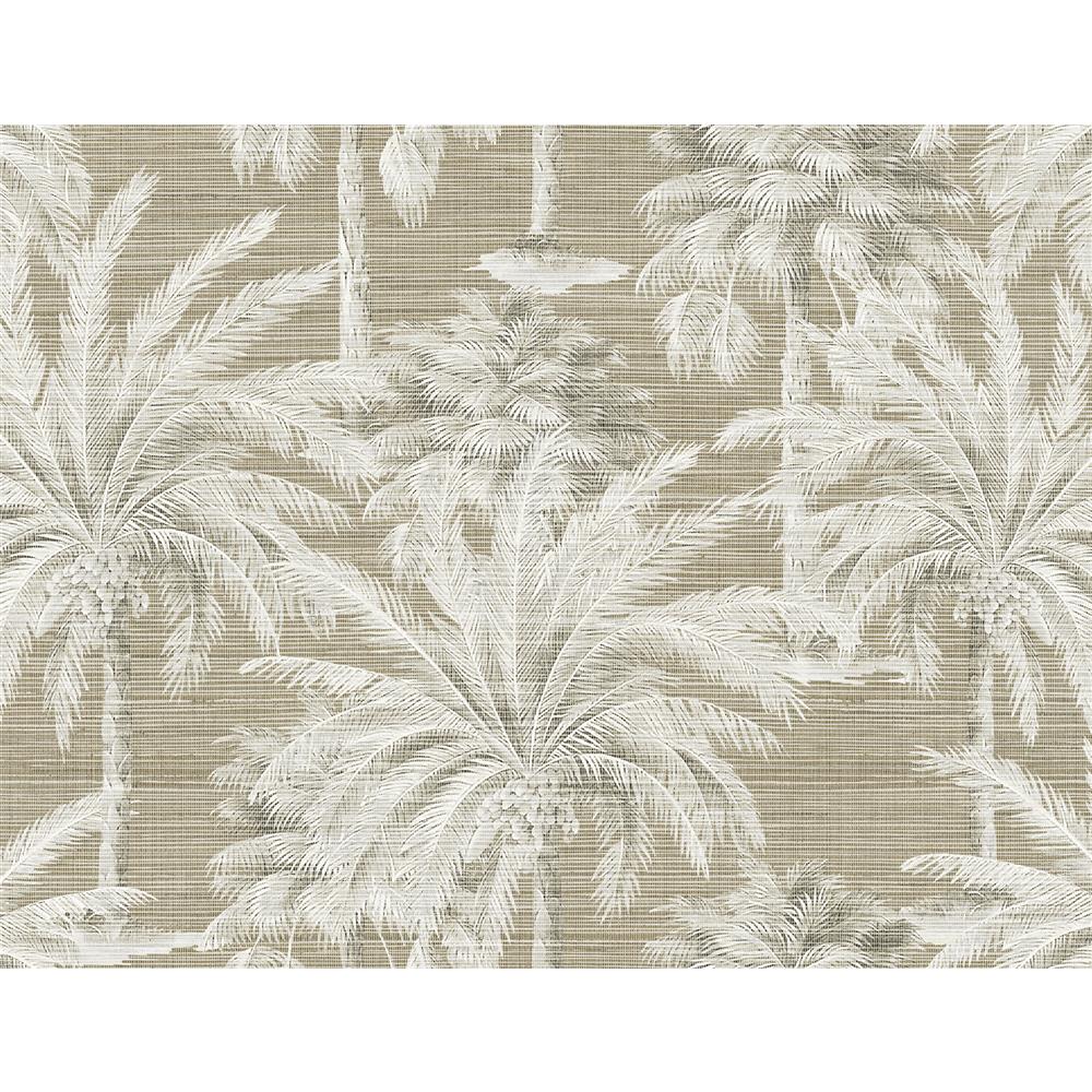 Kenneth James by Brewster PS40007 Palm Springs Dream Of Palm Trees Brown Texture Wallpaper