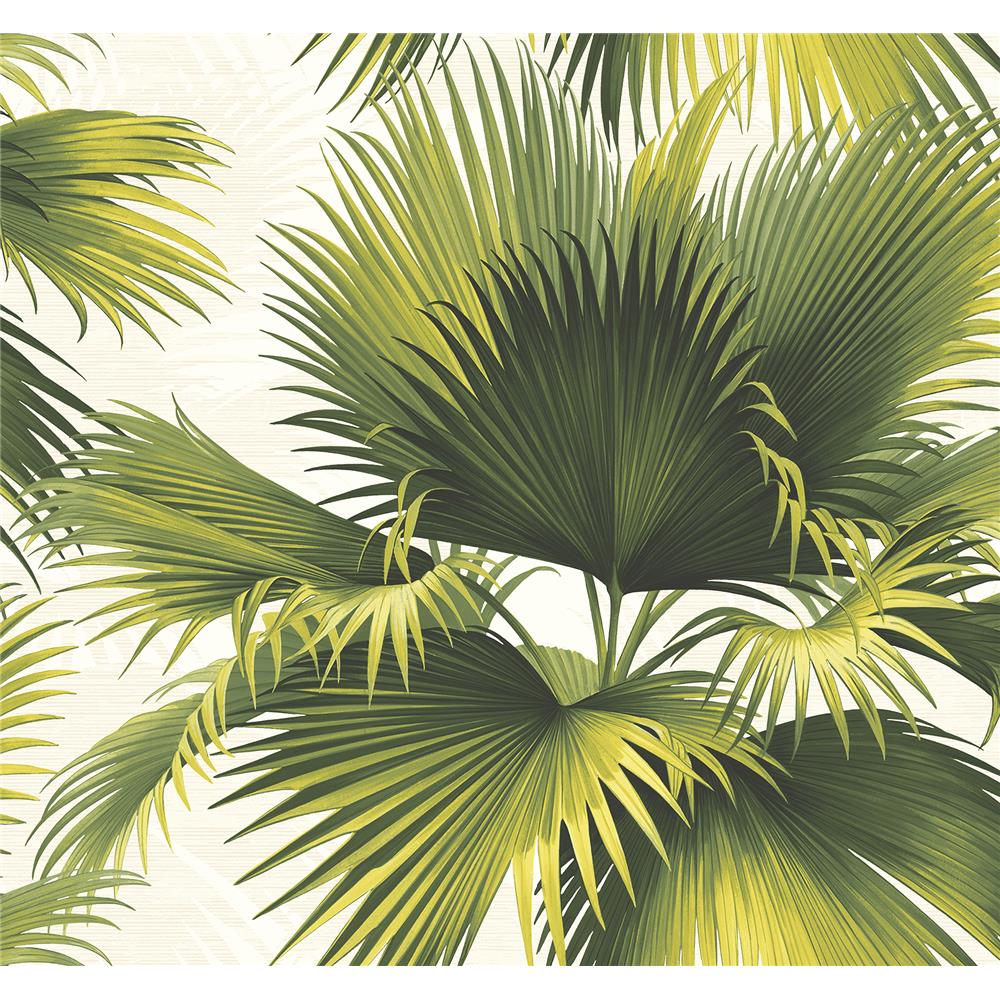Kenneth James by Brewster PS40114 Palm Springs Endless Summer Green Palm Wallpaper