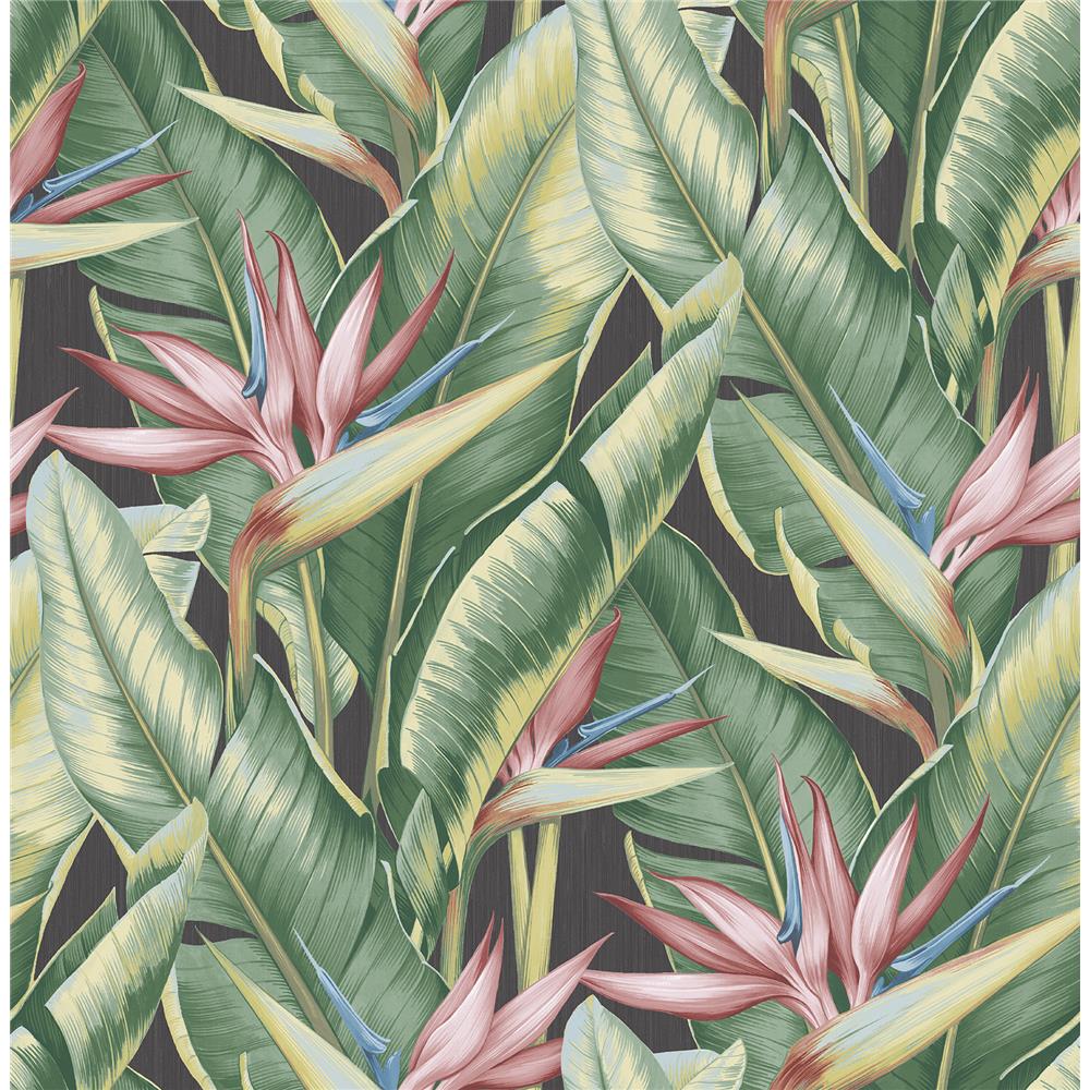 Kenneth James by Brewster PS40201 Palm Springs Arcadia Pink Banana Leaf Wallpaper