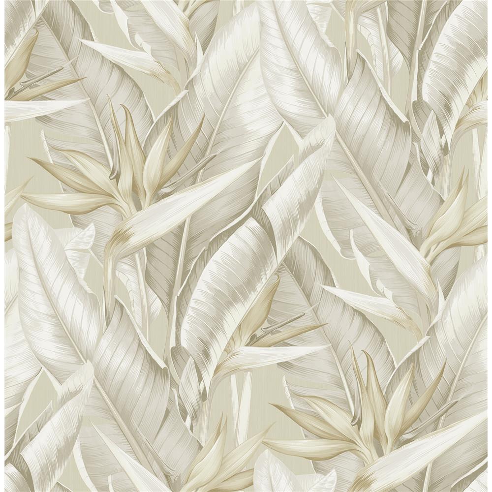 Kenneth James by Brewster PS40205 Palm Springs Arcadia Beige Banana Leaf Wallpaper