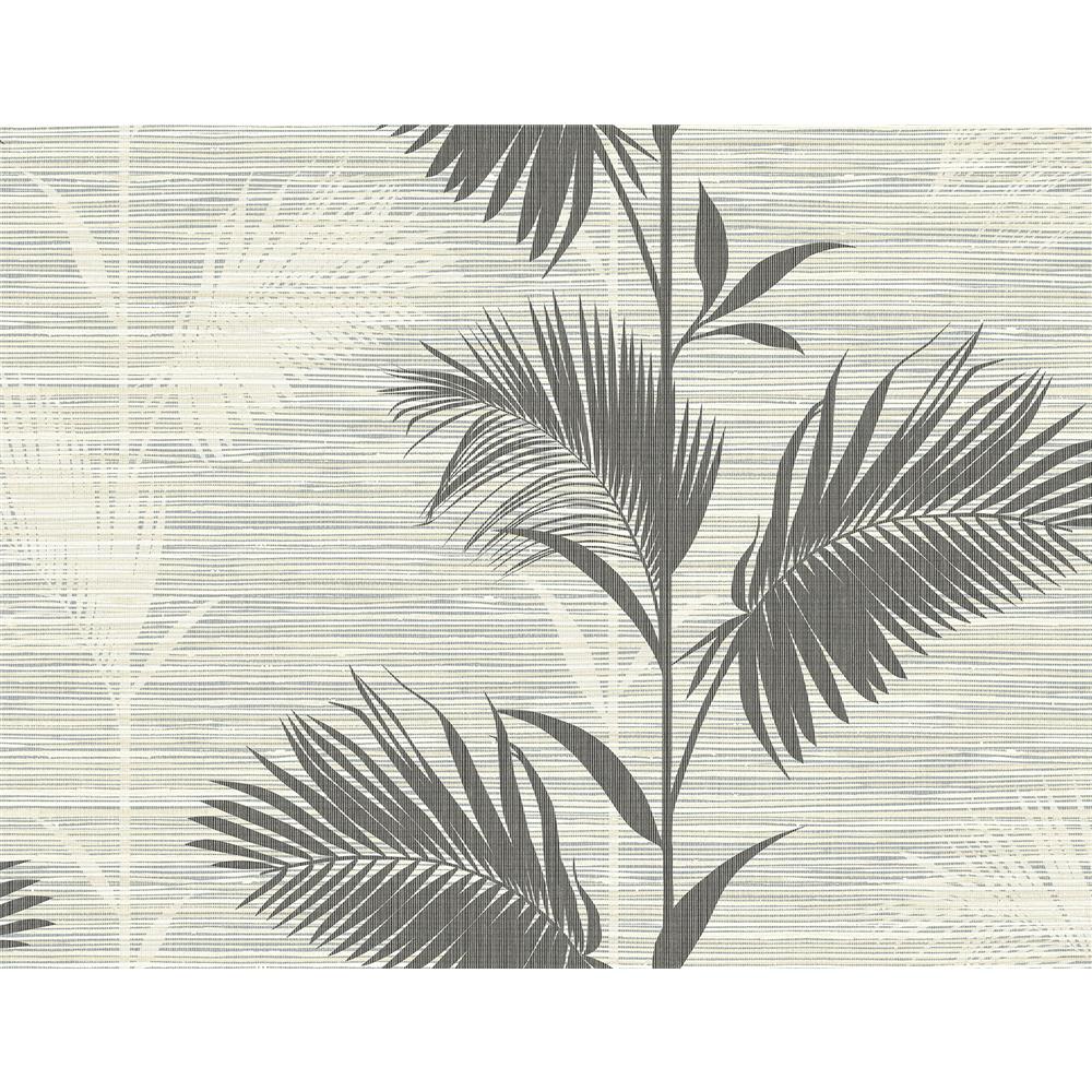 Kenneth James by Brewster PS40300 Palm Springs Away On Holiday Black Palm Wallpaper