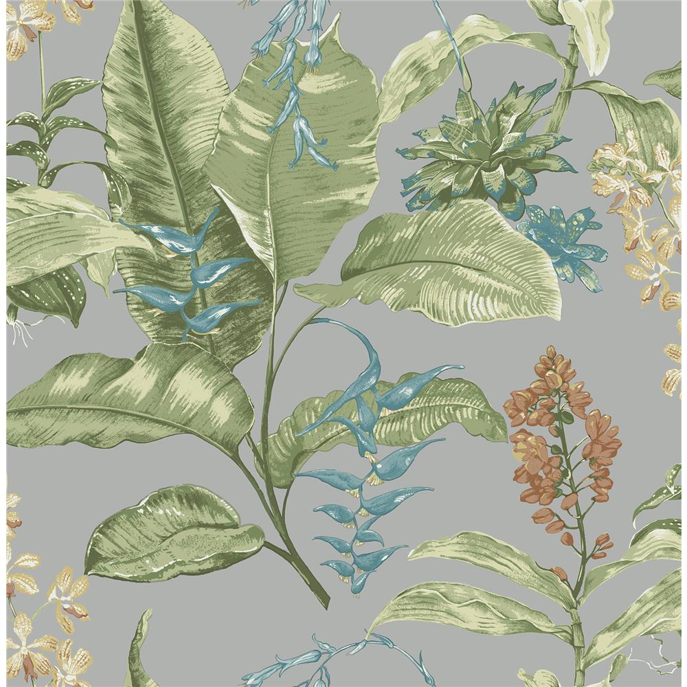 Kenneth James by Brewster PS41808 Palm Springs Maui Grey Botanical Wallpaper