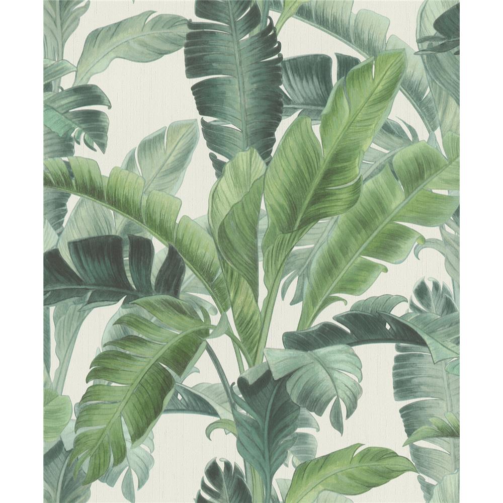 Rasch by Brewster RH536683 Sidewall Orissa Green Palm Frond Wallpaper