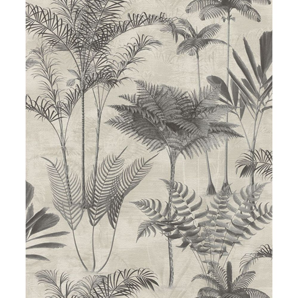 Rasch by Brewster RH555134 Kinabalu  Charcoal Rainforest Wallpaper