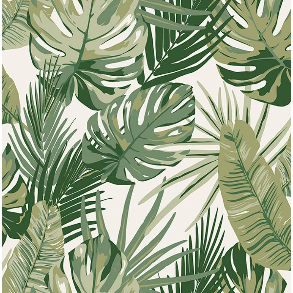 Rachel Zoe by Brewster RZS4520 Green Palmero Peel & Stick Wallpaper