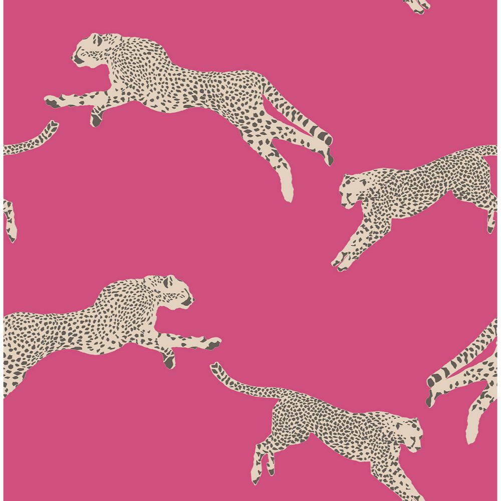 Scalamandre by Brewster SCS4276 Bubblegum Leaping Cheetah Peel & Stick Wallpaper