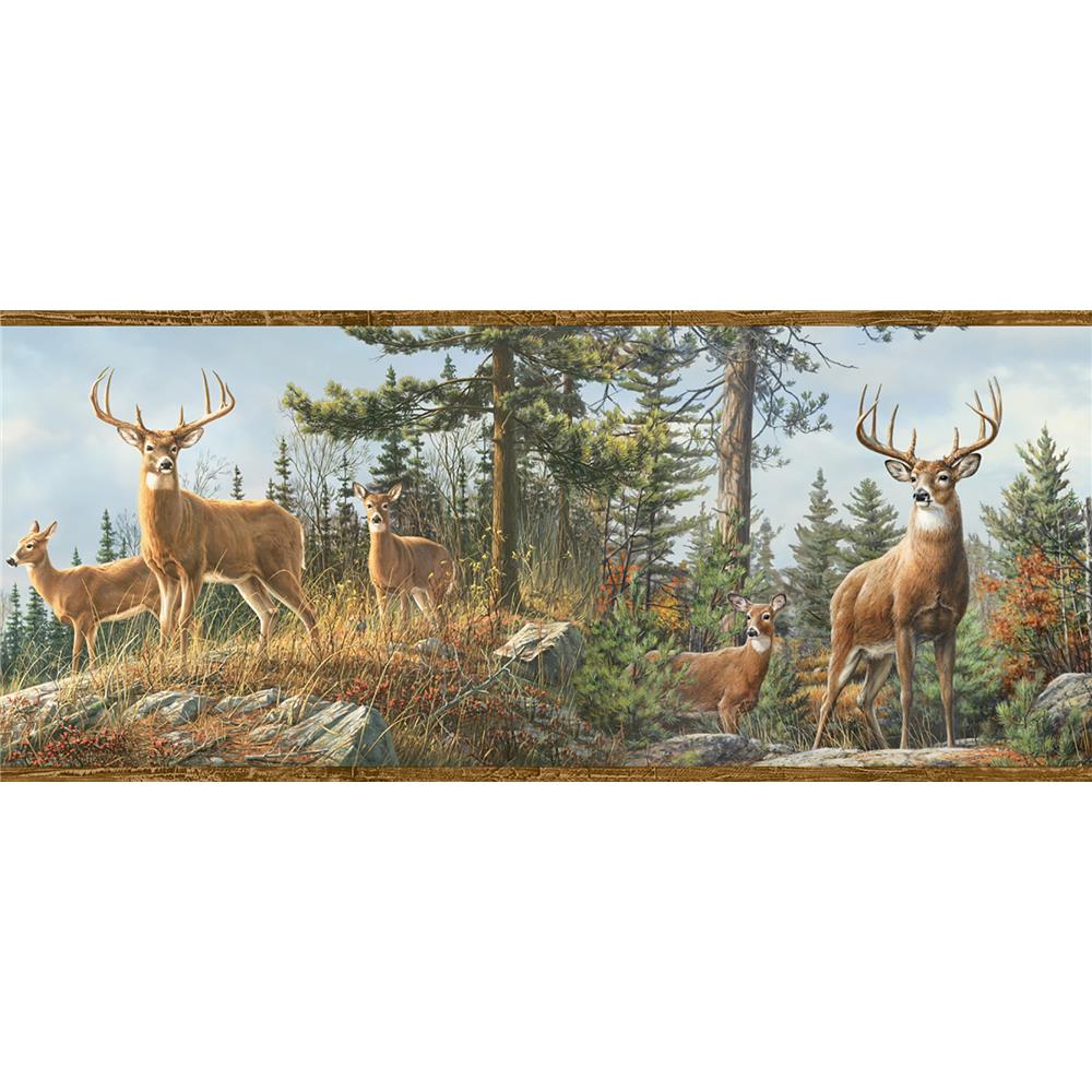 Chesapeake by Brewster TLL48463B Echo Lake Lodge Ashmere Brown Whitetail Crest Border Wallpaper in Brown