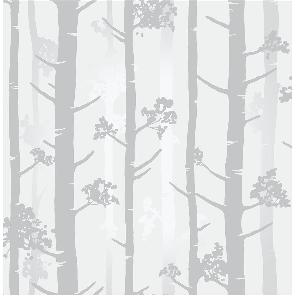 Brewster UW24779 Sydow Grey Birch Tree Wallpaper