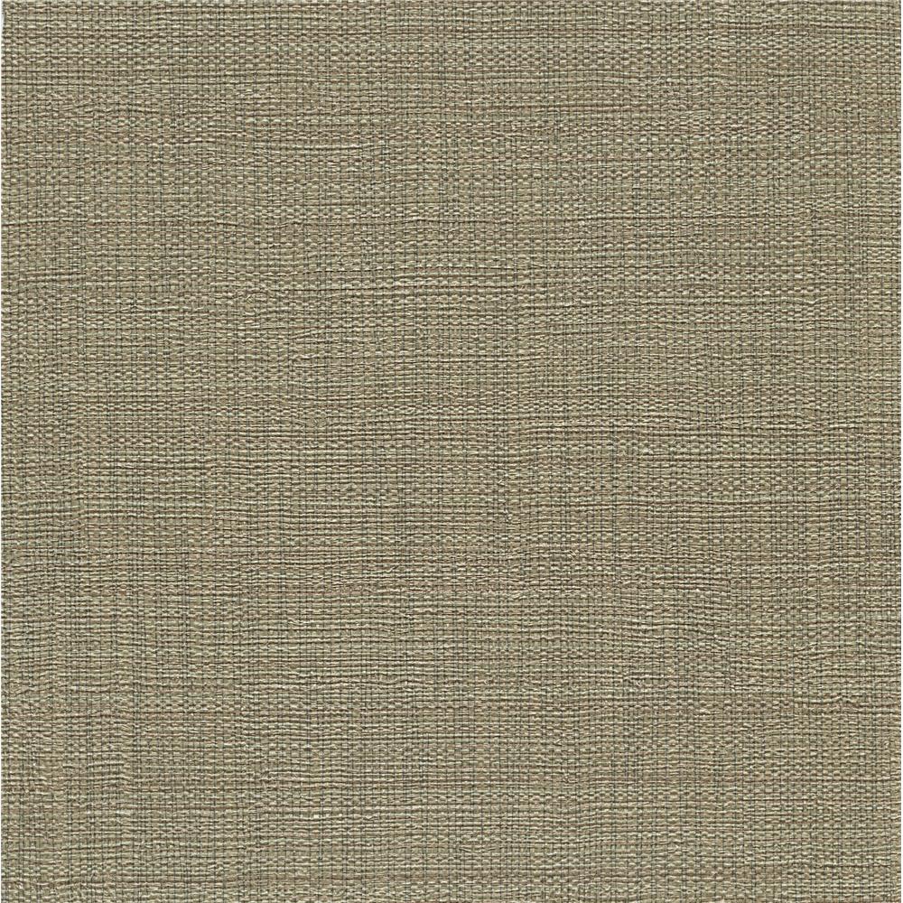 Warner by Brewster WB1024 Warner Textures Vol II Neutral Isis The Magic Book Wallpaper in Neutral