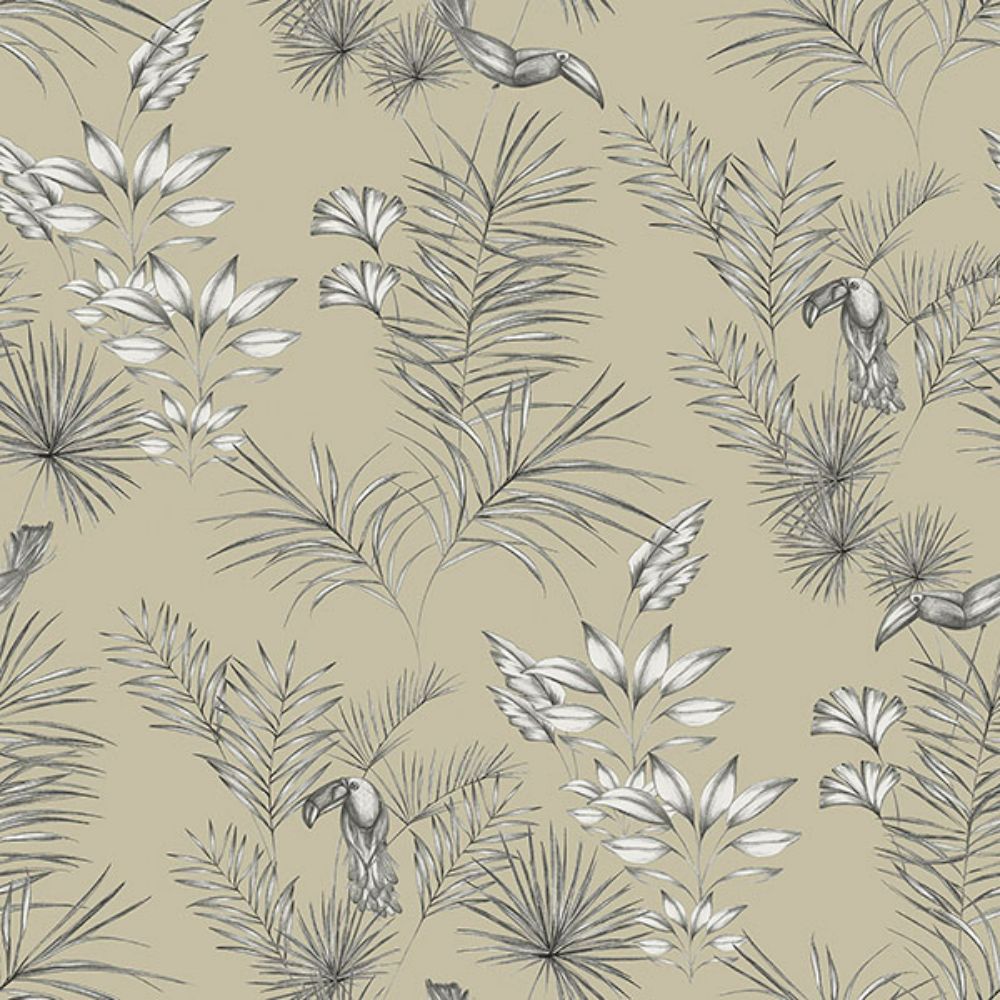 Ohpopsi by Brewster WLD53112W Shelly  Grey Toucan Toile Wallpaper