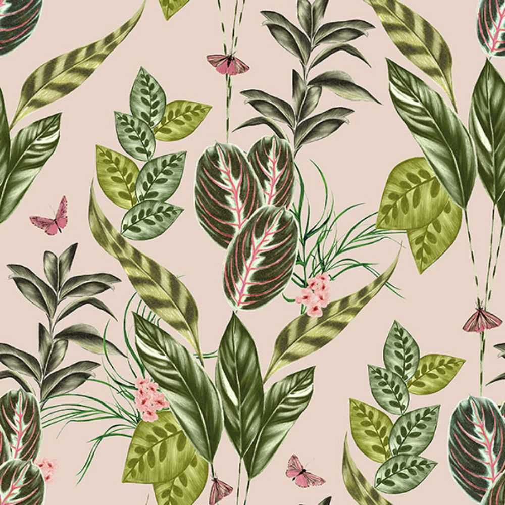Ohpopsi by Brewster WLD53121W Spirit Light Pink Tropical Foliage Wallpaper
