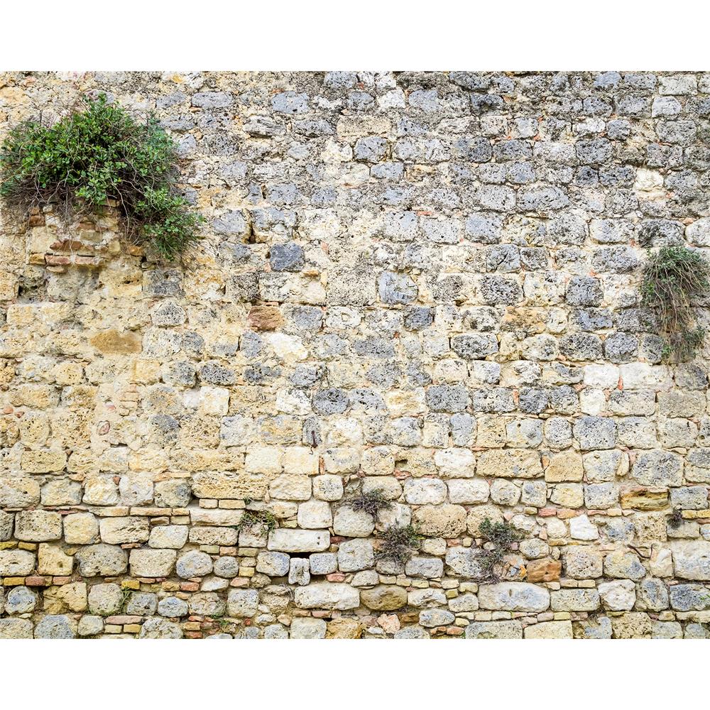 Wall Rogues by Brewster WR50522 Stone Wall Mural