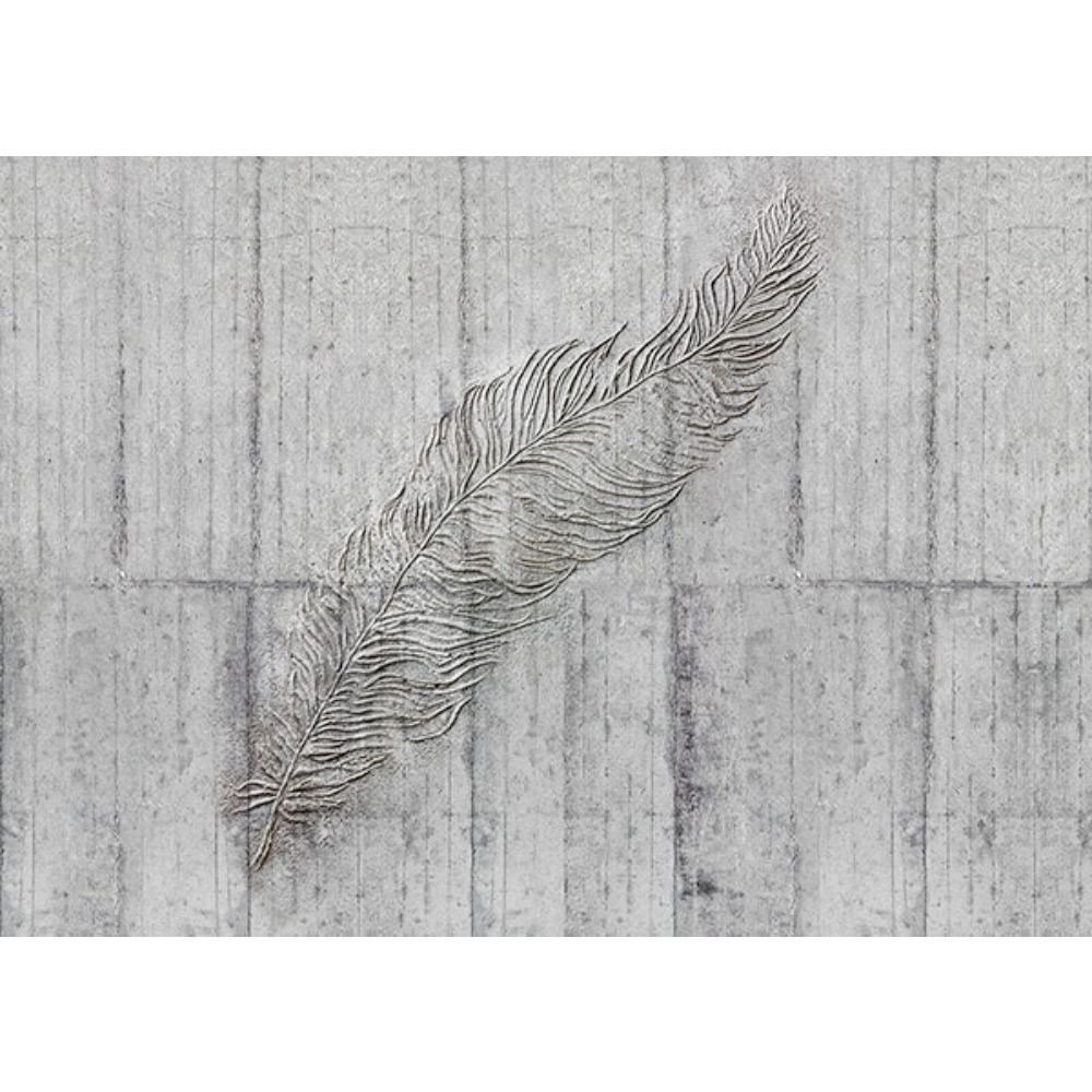 Komar by Brewster X7-1023 Concrete Feather Wall Mural
