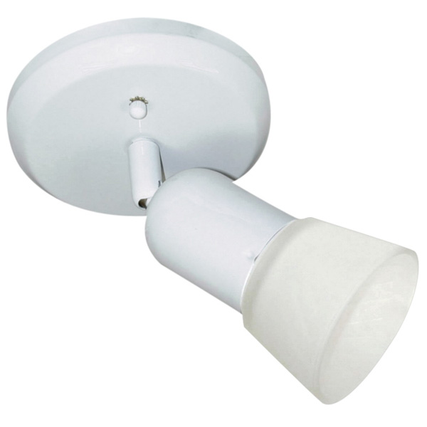 Canarm Icw5111 Omni 1 Light Ceiling/wall In Wh - White