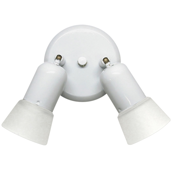 Canarm Icw5211 Omni 2 Light Ceiling/wall In Wh - White