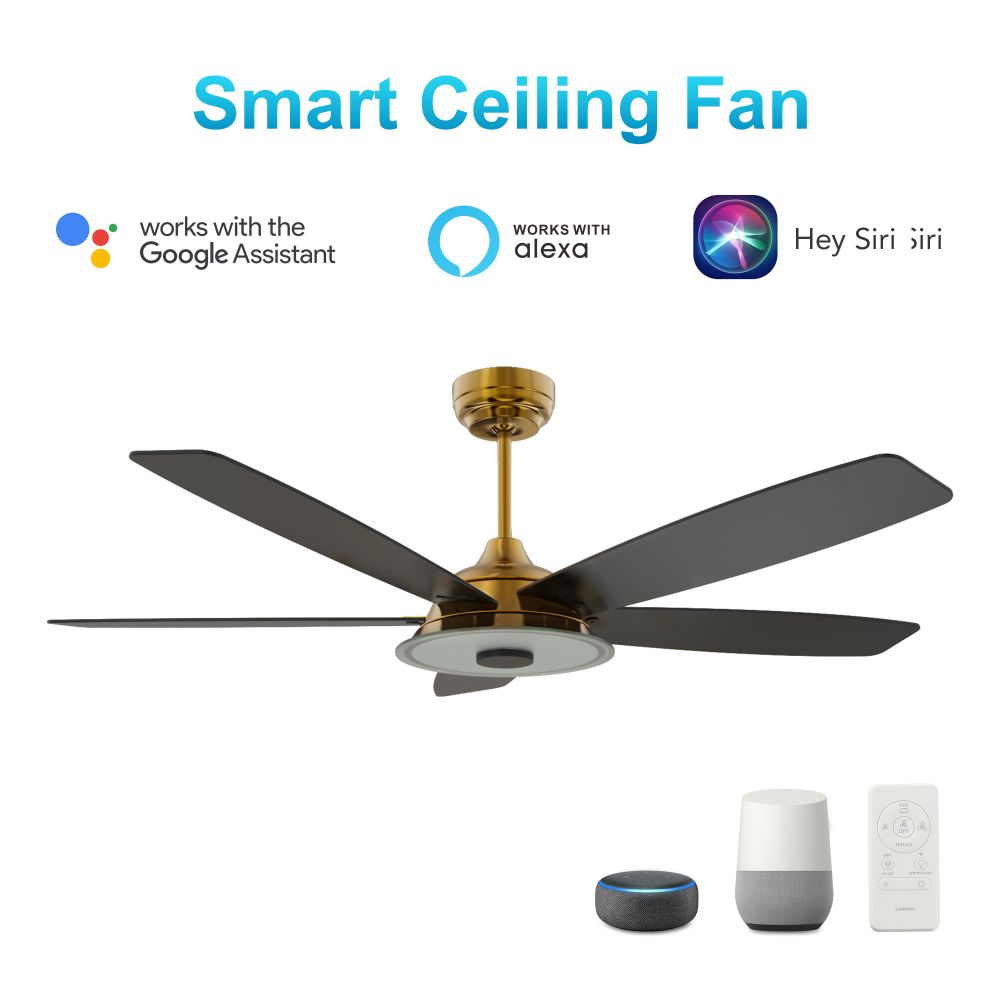 Carro USA VS525H-L13-G2-1 Journey  52-inch Indoor/Outdoor Smart Ceiling Fan, Dimmable LED Light Kit & Remote Control, Works with Alexa/Google Home/Siri