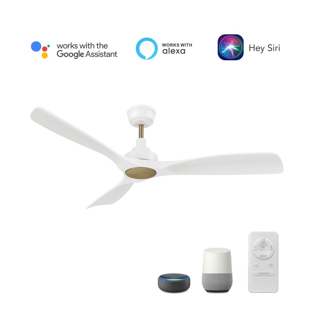 Carro USA VS523A-N10-W1-1A Kiama 52" Smart Ceiling Fan with Remote,Works with Google Assistant and Amazon Alexa, Siri Shortcut.