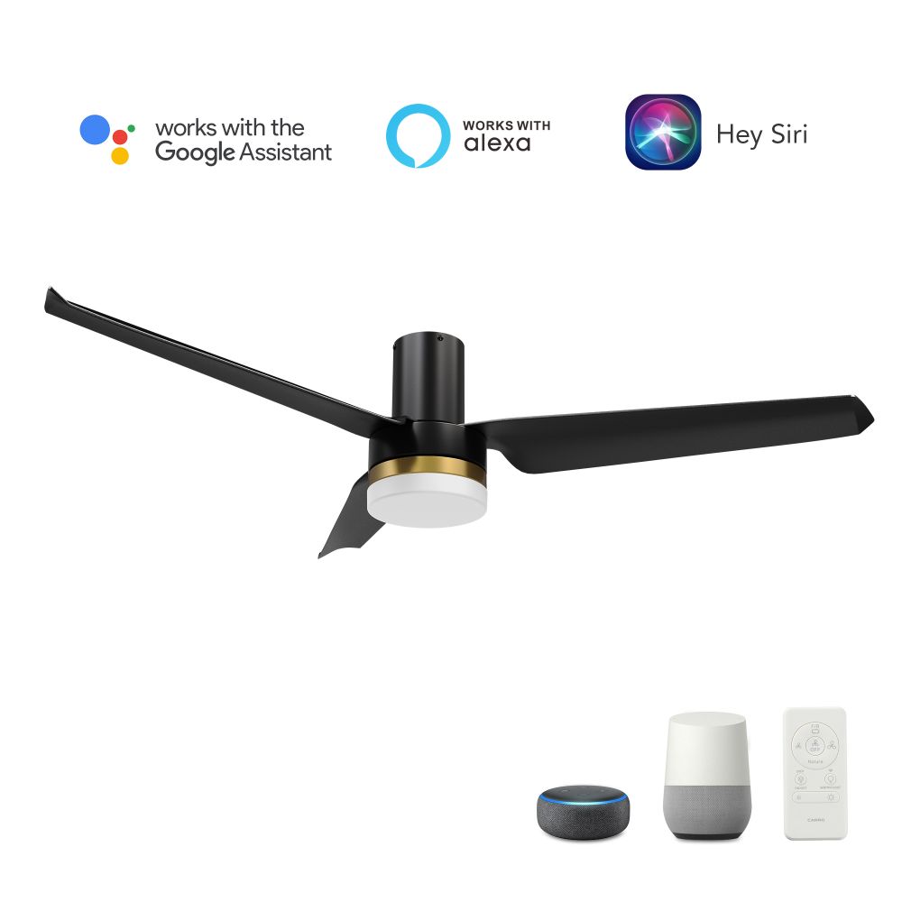 Carro USA VS523N-L12-B2-1-FM Boise 52" Smart Ceiling Fan with Remote, Light Kit Included,Works with Google Assistant and Amazon Alexa,Siri Shortcut.