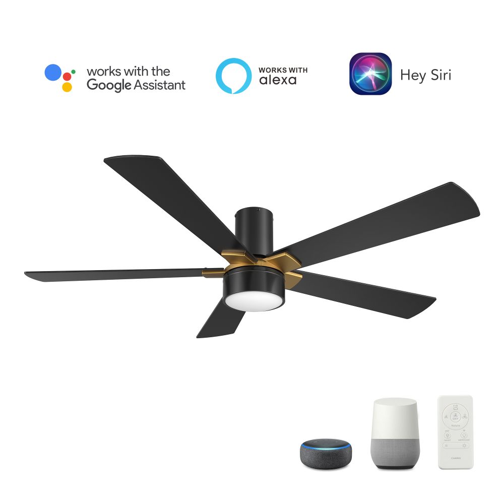 Carro USA VS525B5-L11-B2-1G-FM Wichita 52" Smart Ceiling Fan with Remote, Light Kit Included,Works with Google Assistant and Amazon Alexa,Siri Shortcut.