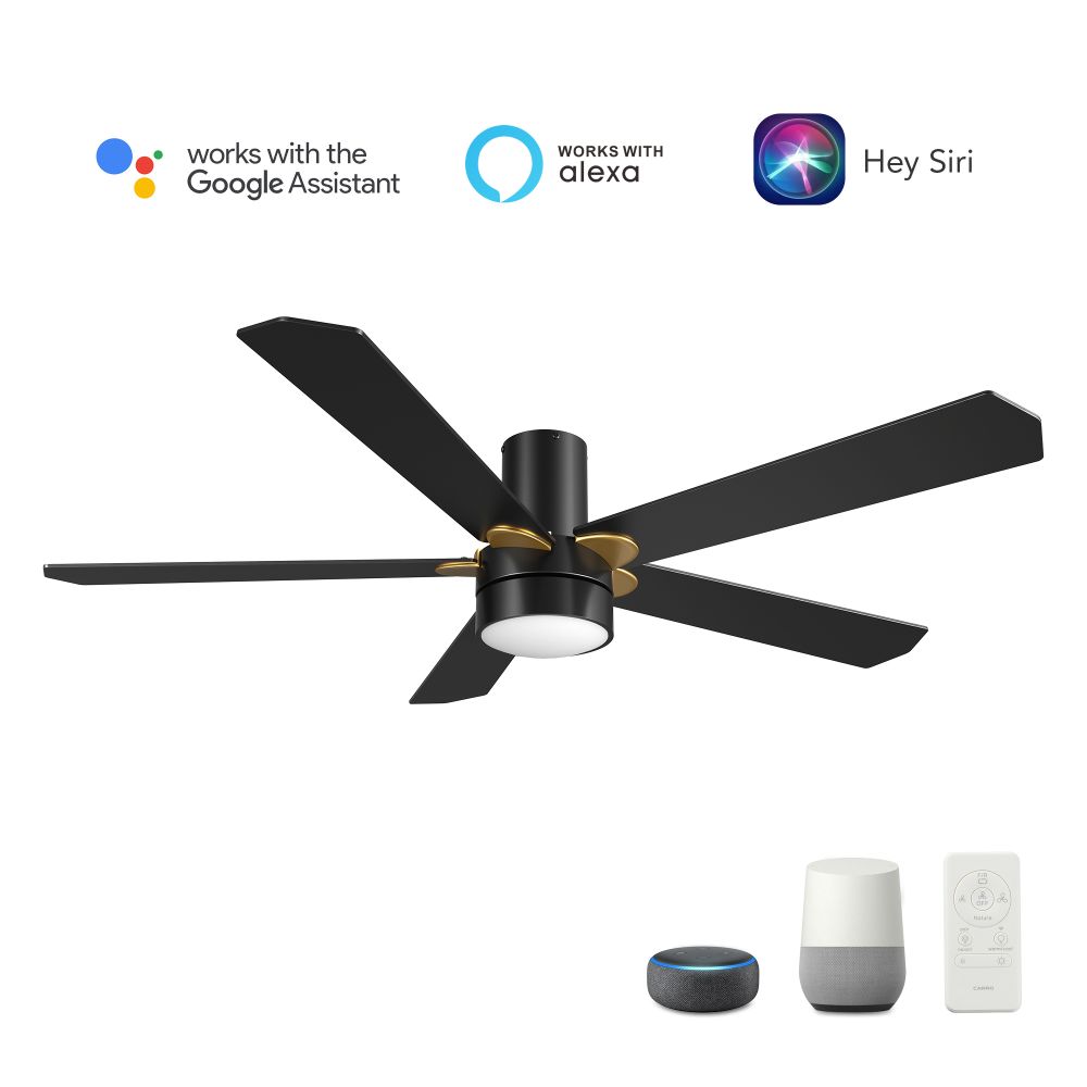 Carro USA VS525E2-L11-B2-1G-FM Tampa 52" Smart Ceiling Fan with Remote, Light Kit Included,Works with Google Assistant and Amazon Alexa,Siri Shortcut.