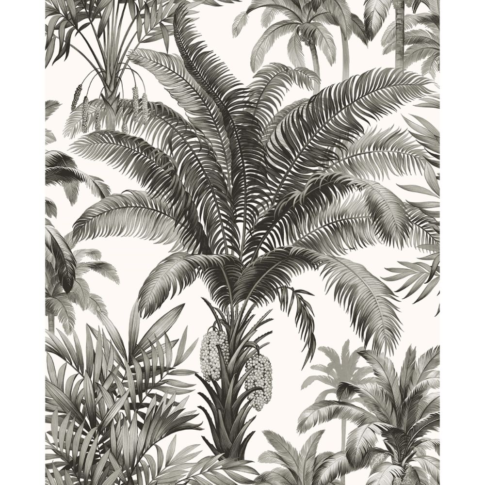 Casa Mia Wallpaper RM22300 Palm Grove Wallpaper in Inkwell