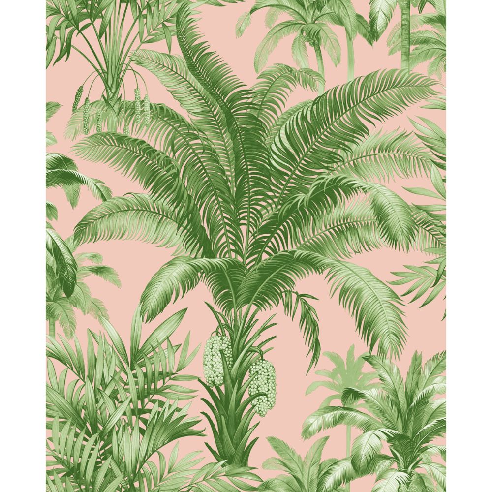 Casa Mia Wallpaper RM22301 Palm Grove Wallpaper in Blush & Summer Fern