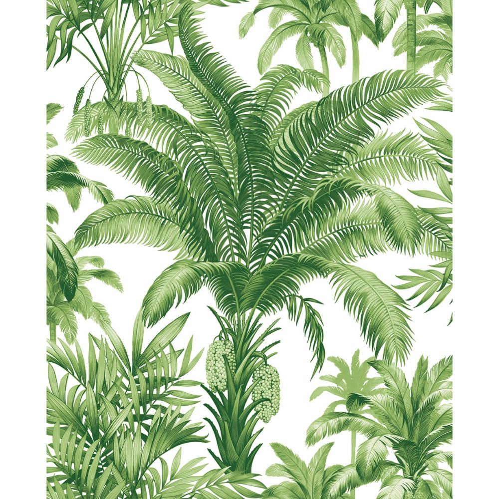 Casa Mia Wallpaper RM22304 Palm Grove Wallpaper in Greenery