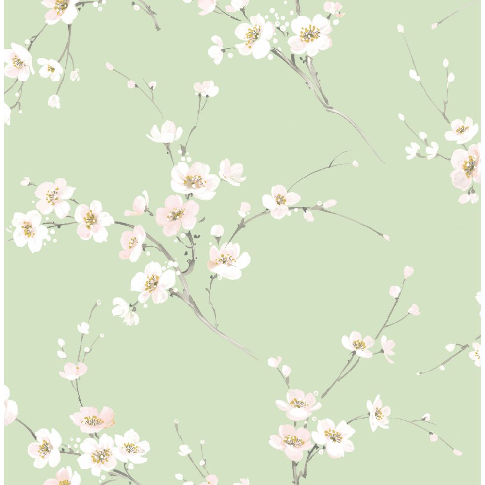 Casa Mia Wallpaper RM22007 Cherry Blossoms - Dnipro Peel & Stick Wallpaper
