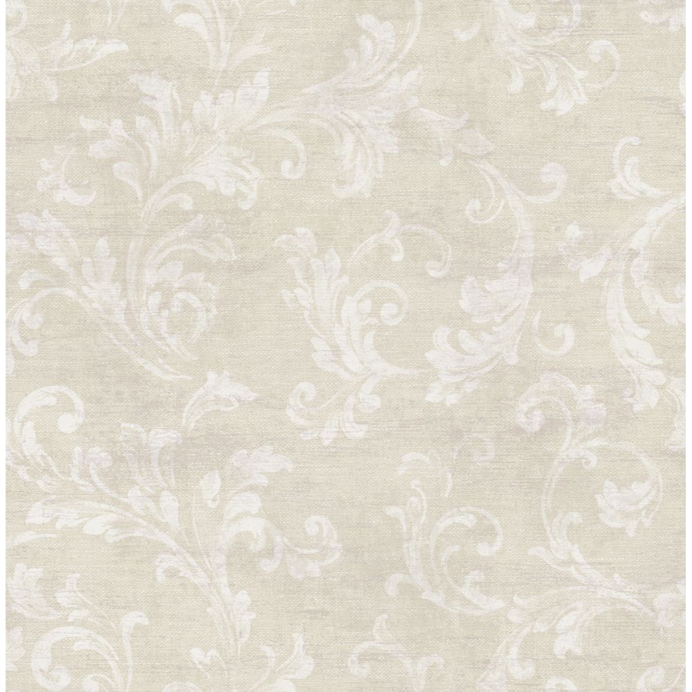 RM51809 - Casa Mia Wallpaper RM51809 Neoclassic Scroll Wallpaper In ...