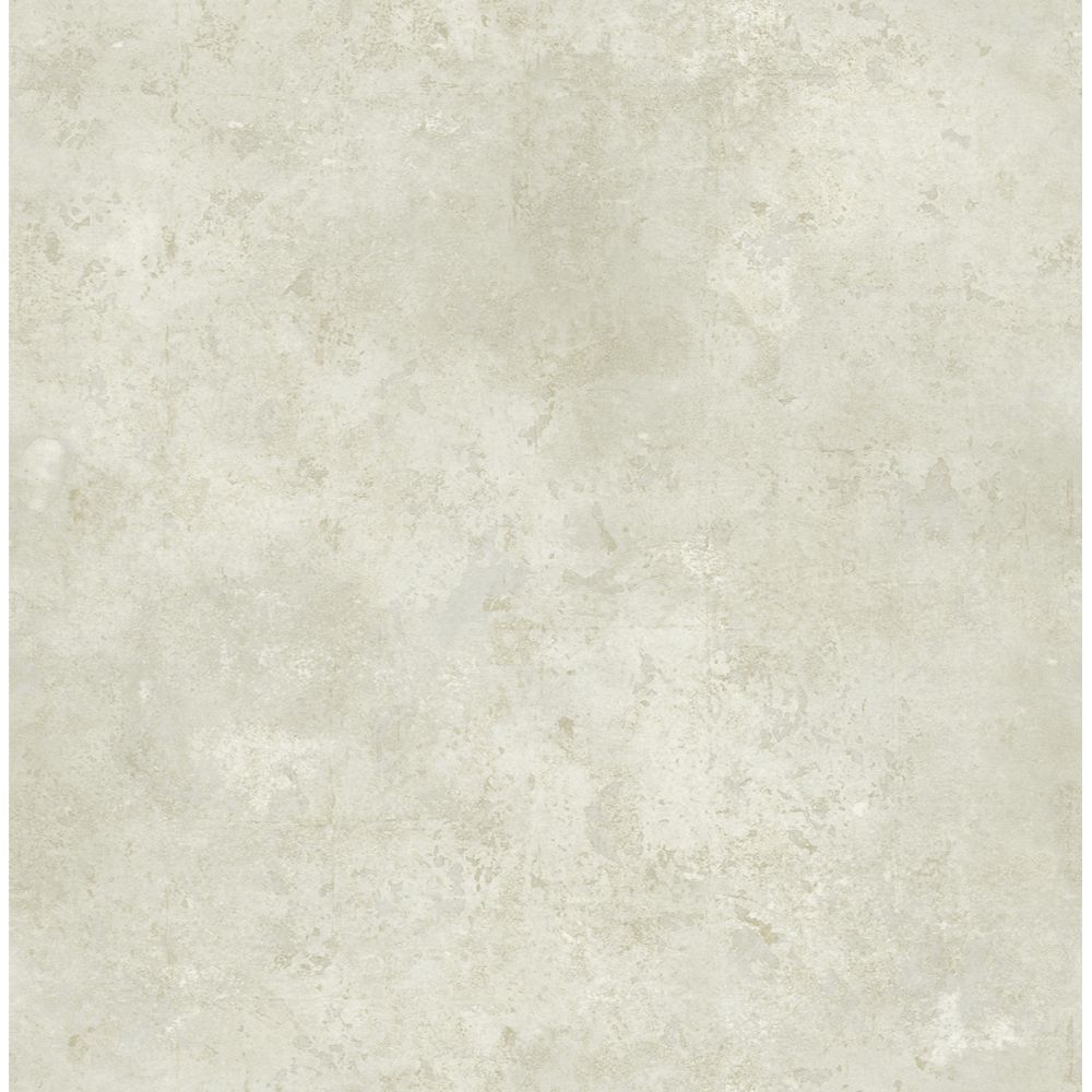 Casa Mia Wallpaper RM61608 Marble Wallpaper In Soft Grey