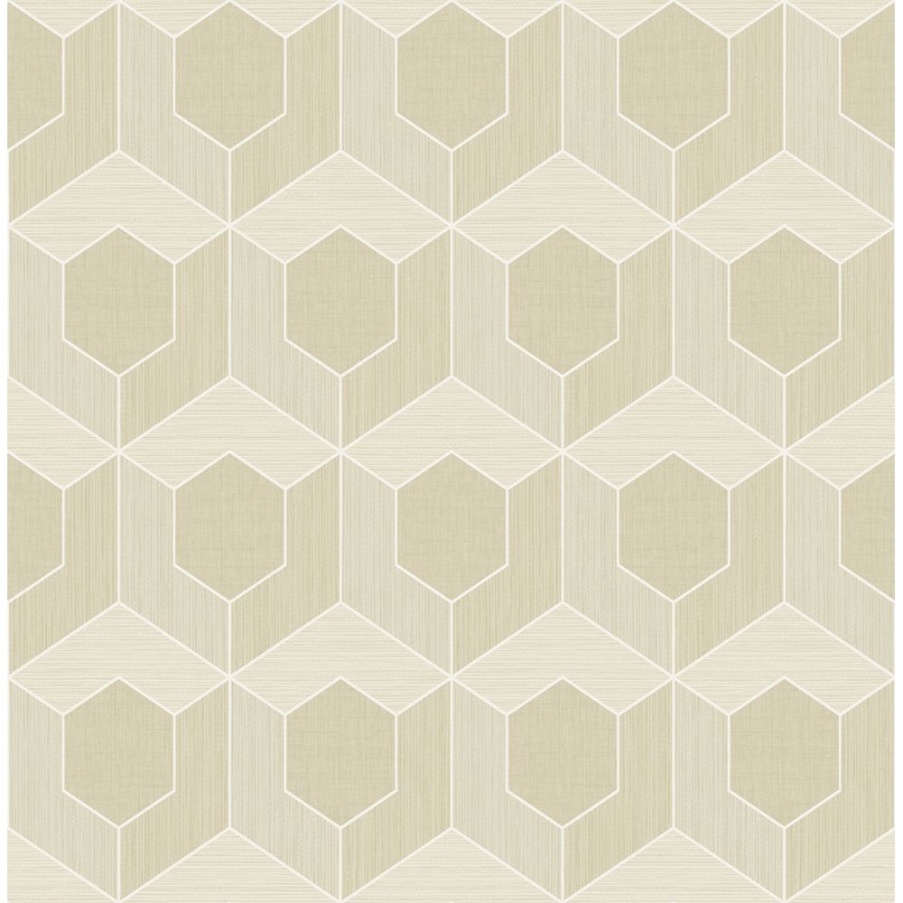 Casa Mia Wallpaper RM70405 3d Hexagon Wallpaper In Send, Cream