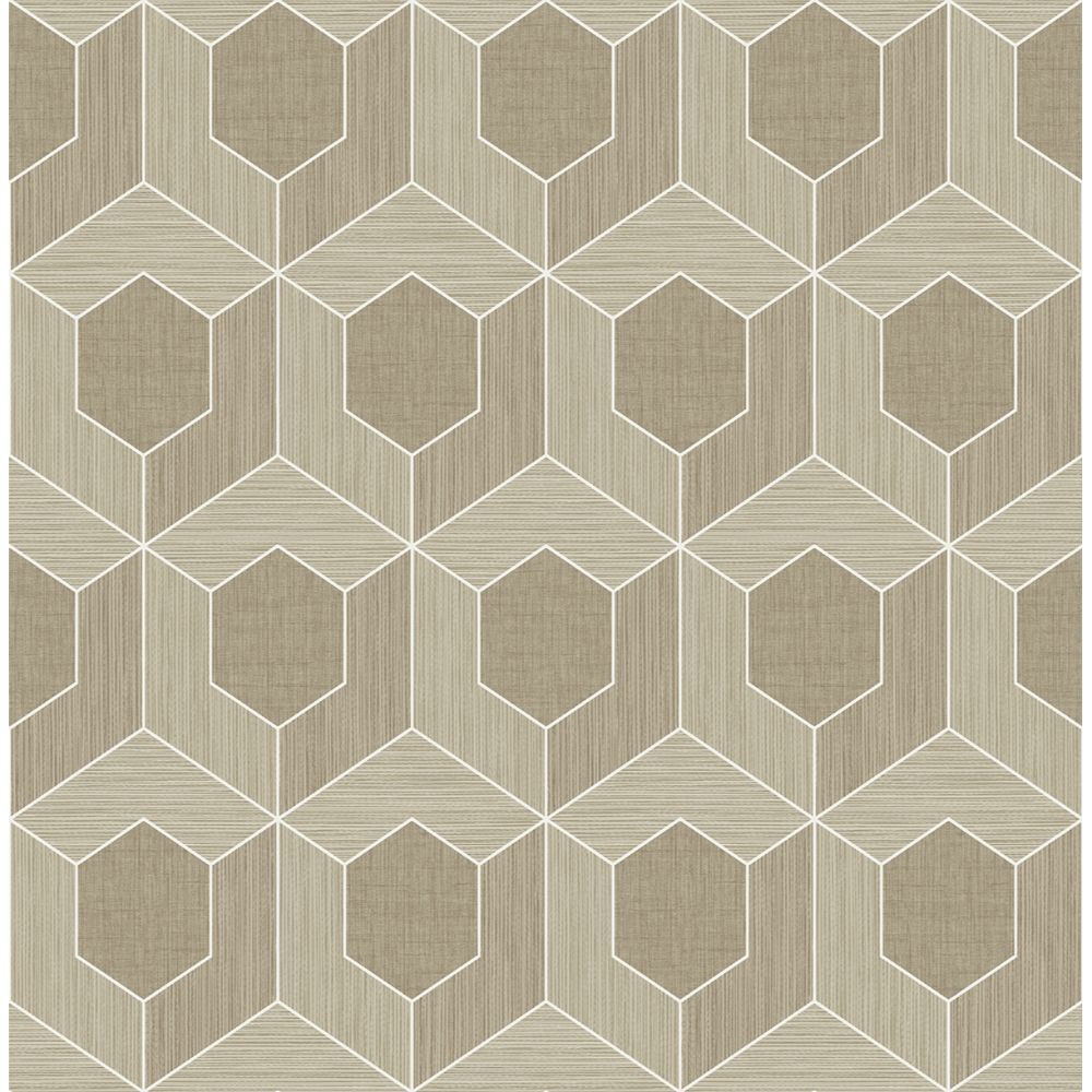 Casa Mia Wallpaper RM70406 3d Hexagon Wallpaper In Soft Brown