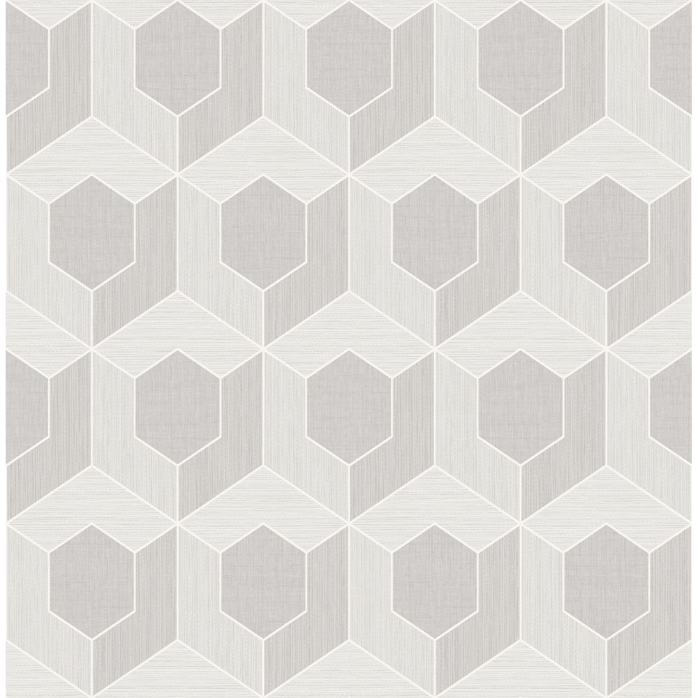 Casa Mia Wallpaper RM70407 3d Hexagon Wallpaper In Soft Grey