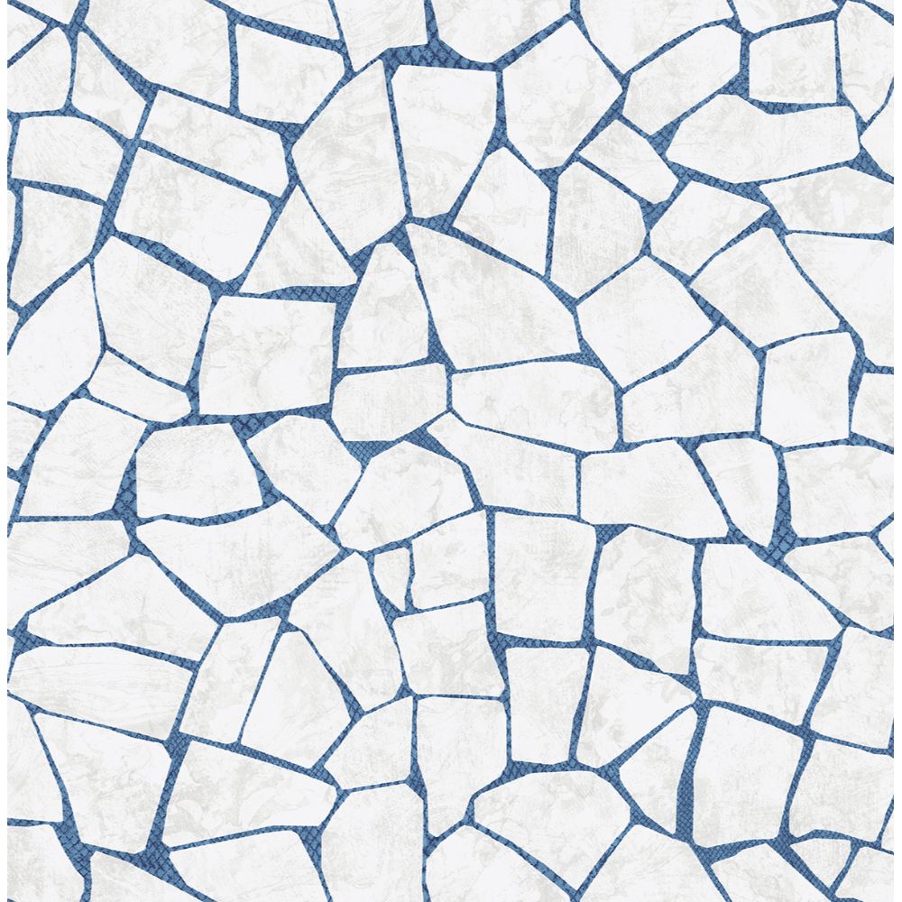 Casa Mia RM91402 Graphite Wallpaper in Off White & Blue