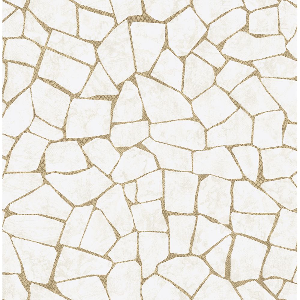 Casa Mia RM91405 Graphite Wallpaper in Off White & Gold