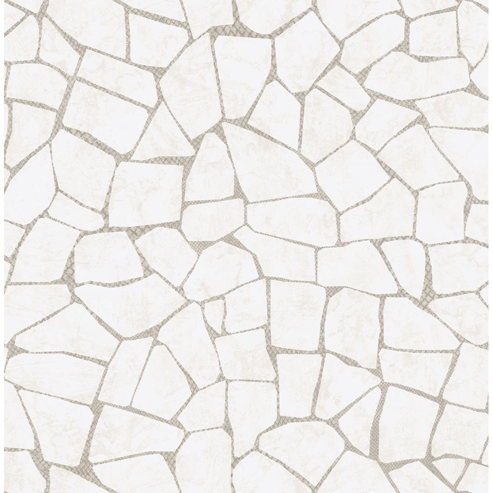 Casa Mia RM91407 Graphite Wallpaper in Off White And Beige