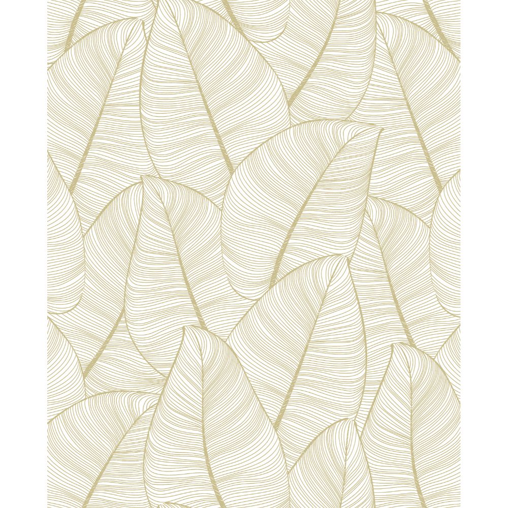 Casa Mia RM91605 Graphite Wallpaper in Gold & White