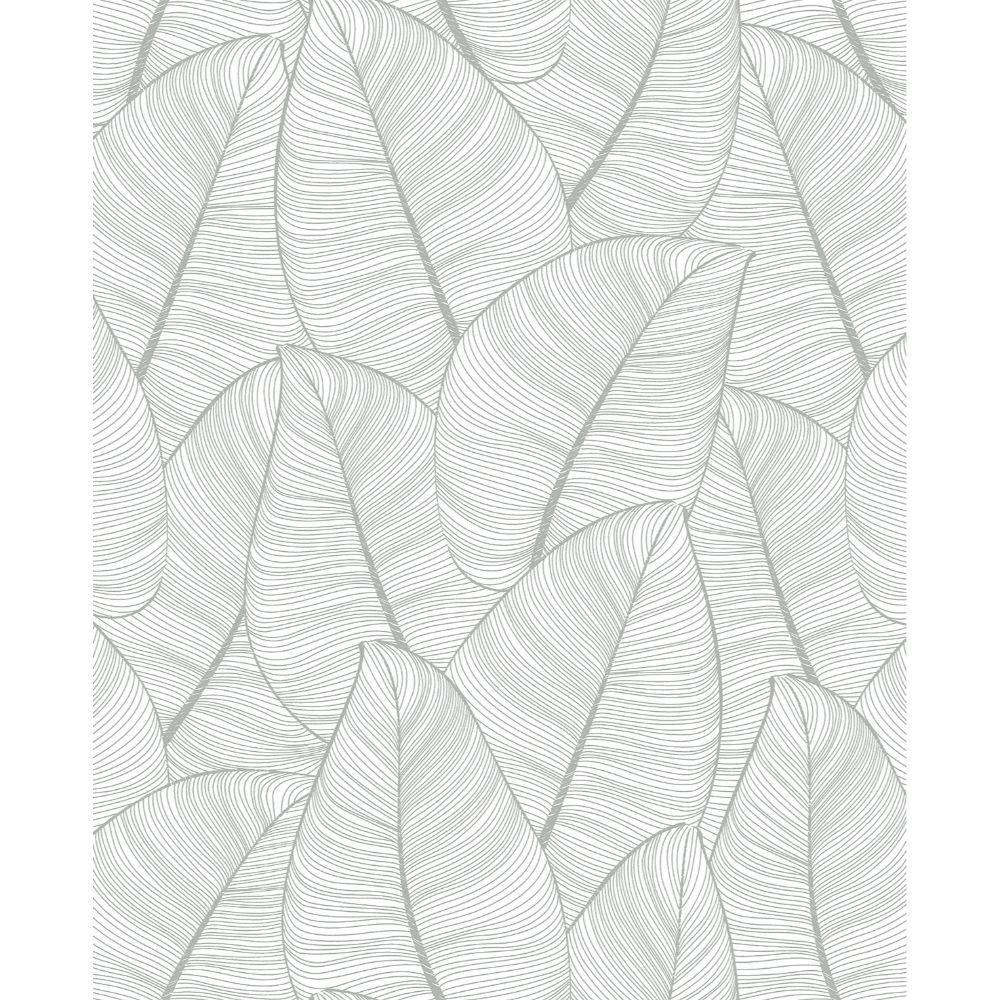Casa Mia RM91608 Graphite Wallpaper in Grey & White