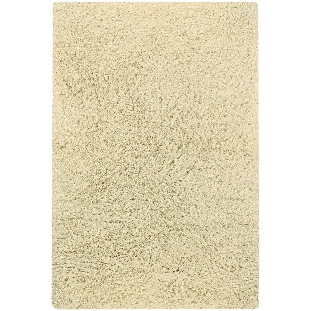 Chandra Rugs AMB4200 AMBIANCE Hand-Woven Contemporary Rug in Ivory, 5