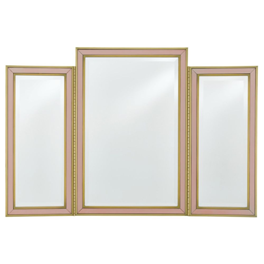 Currey & Company 1000-0024 Arden Pink Vanity Mirror in Silver Peony/Satin Brass/Mirror