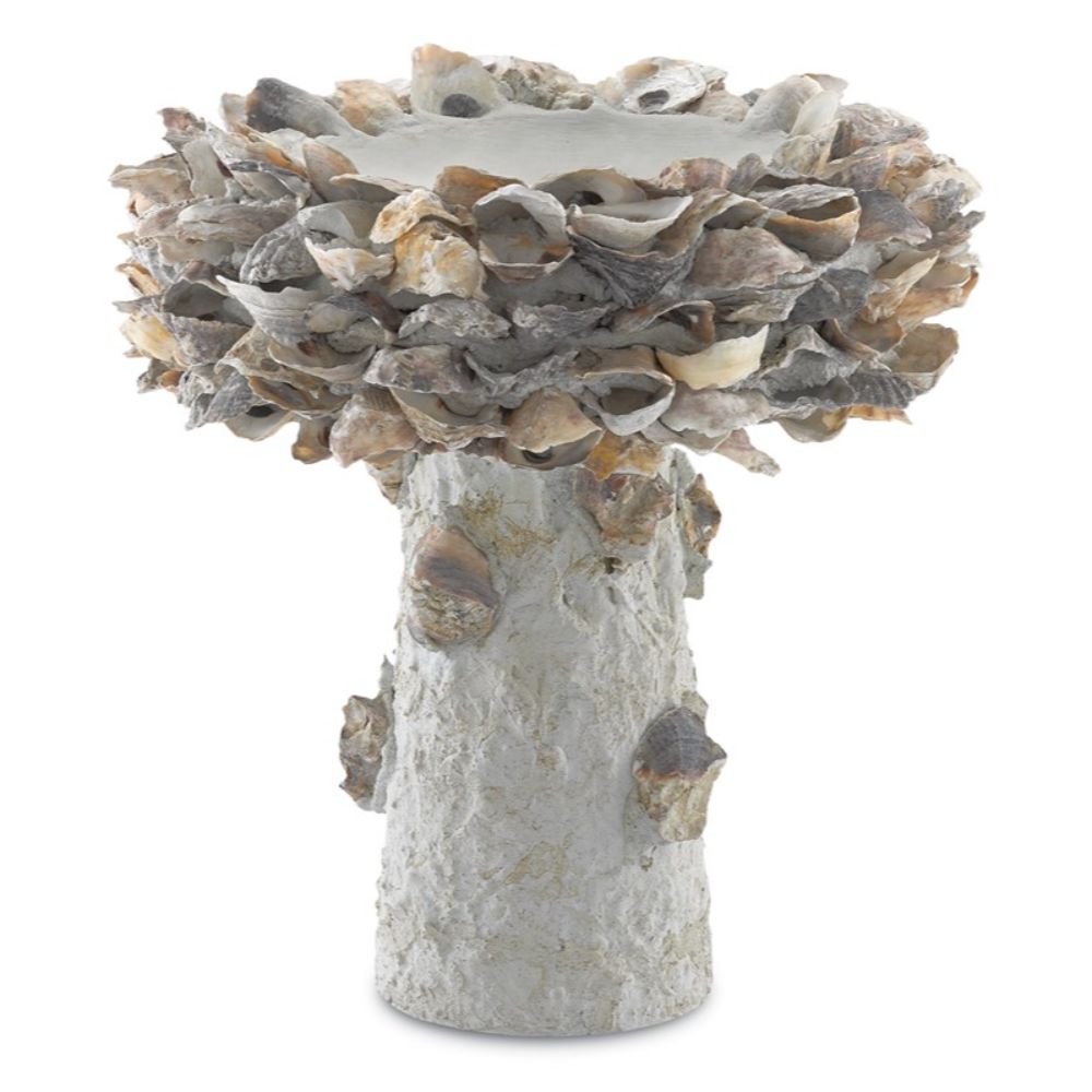 Currey & Company 1200-0052 Oyster Shell Small Bird Bath in Natural