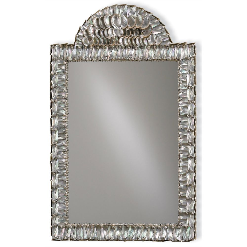 Currey & Company 1325 Abalone Mirror in Natural/Mirror