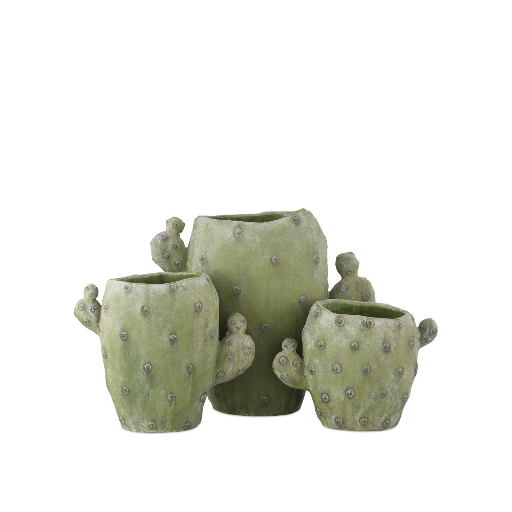 Currey & Company 1200-0885 Cactus Vase Set of 3