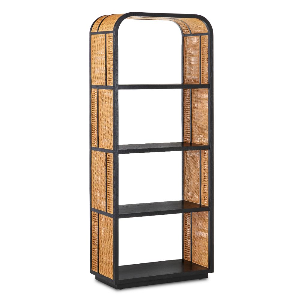 Currey & Company 3000-0229 Anisa Black Etagere in Caviar Black / Natural