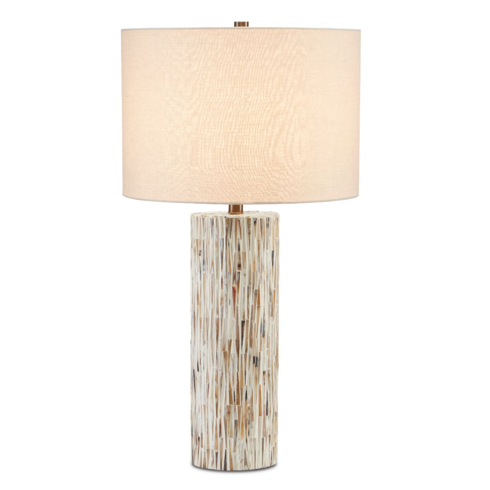 Currey & Company 6000-0709 Aquila Table Lamp in Natural Bone/Antique Brass