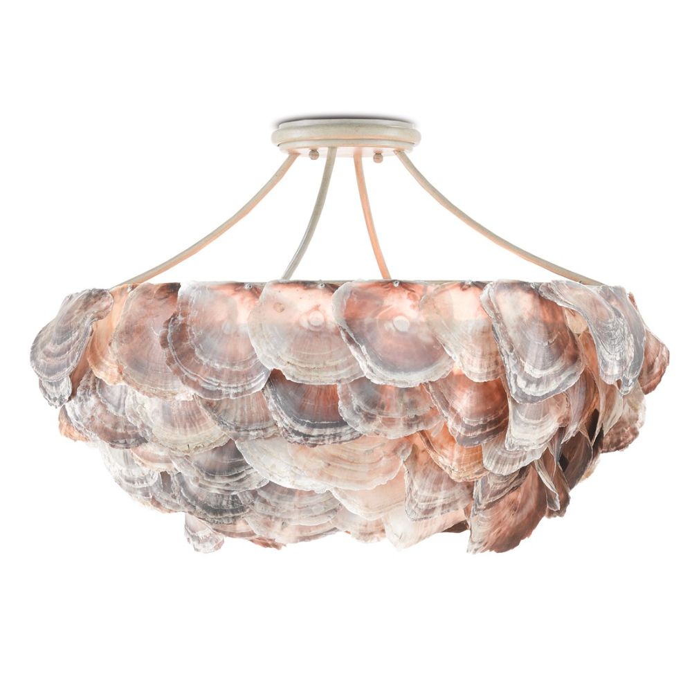 Currey & Company 9000-0755 Seahouse Chandelier in Smokewood/Natural Shell
