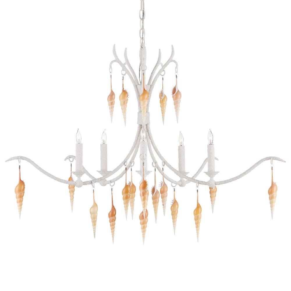 Currey & Company 9000-0988 Arcachon Chandelier in Crushed Shell / Natural / Vanilla