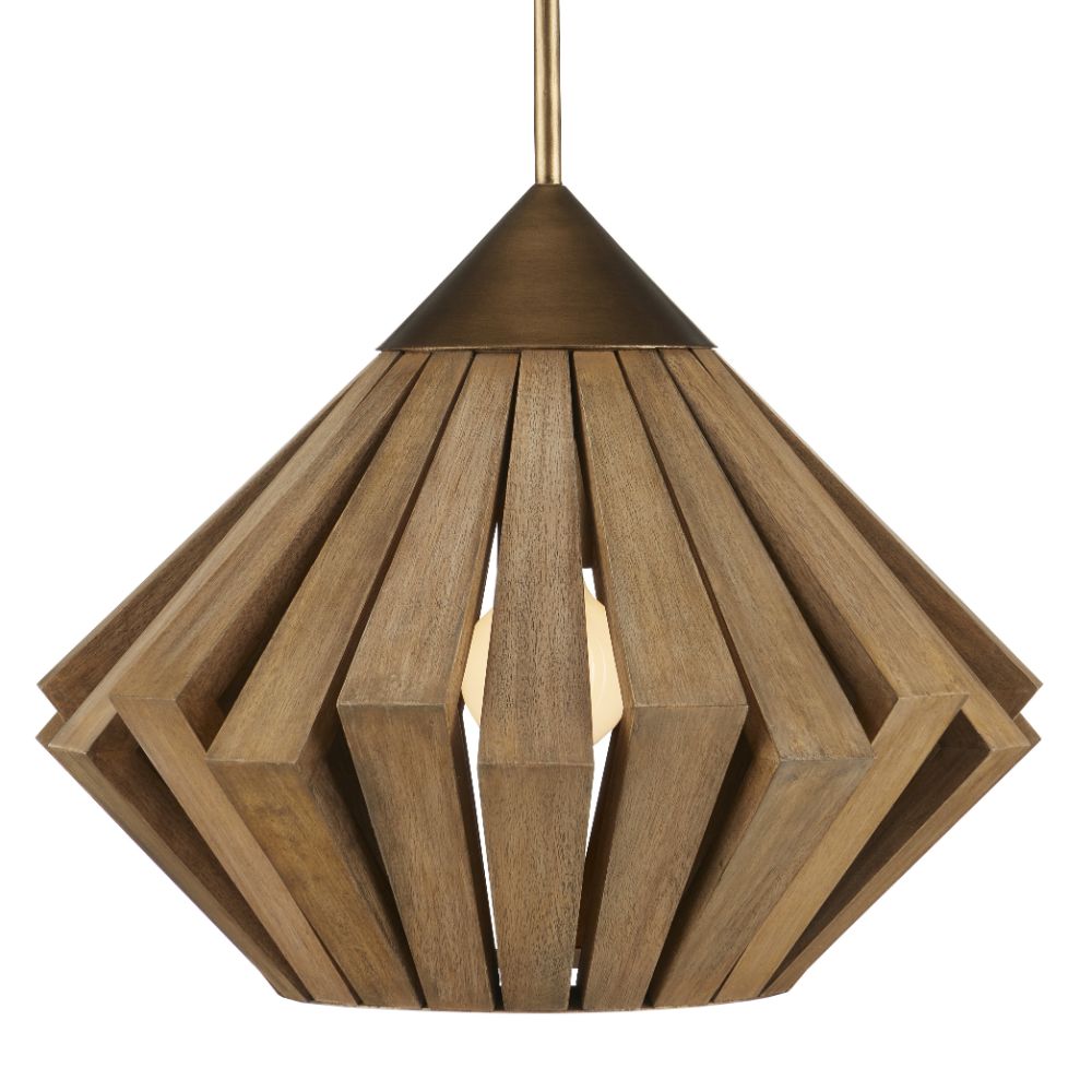 Currey & Company 9000-0995 Plunge Pendant in Brass/Toffee