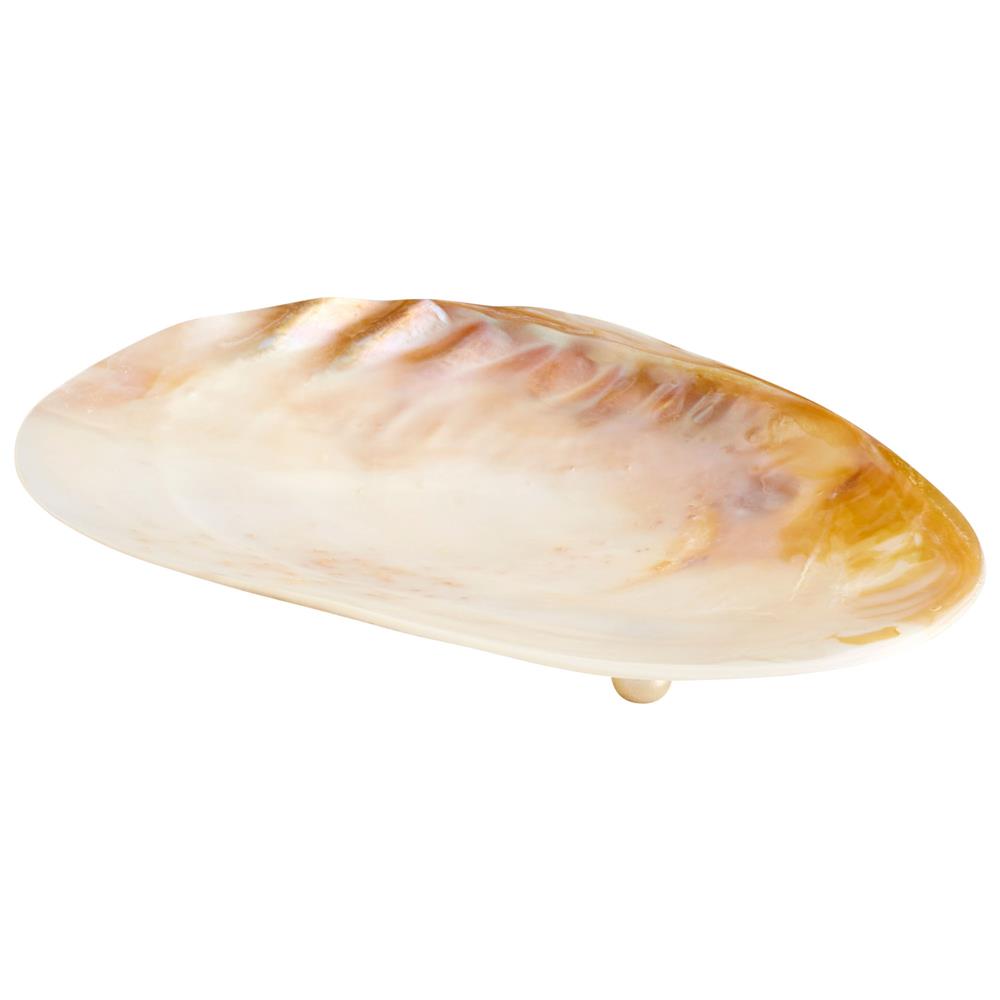 Cyan Design 09834 Small Abalone Tray in Pearl